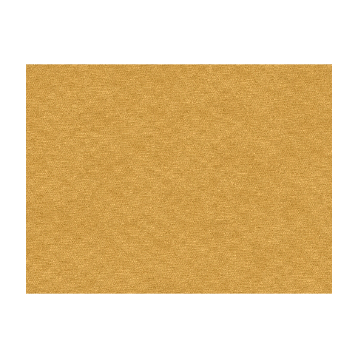Lubeck Cotton Velvet fabric in buttercream color - pattern BR-89779.306.0 - by Brunschwig & Fils