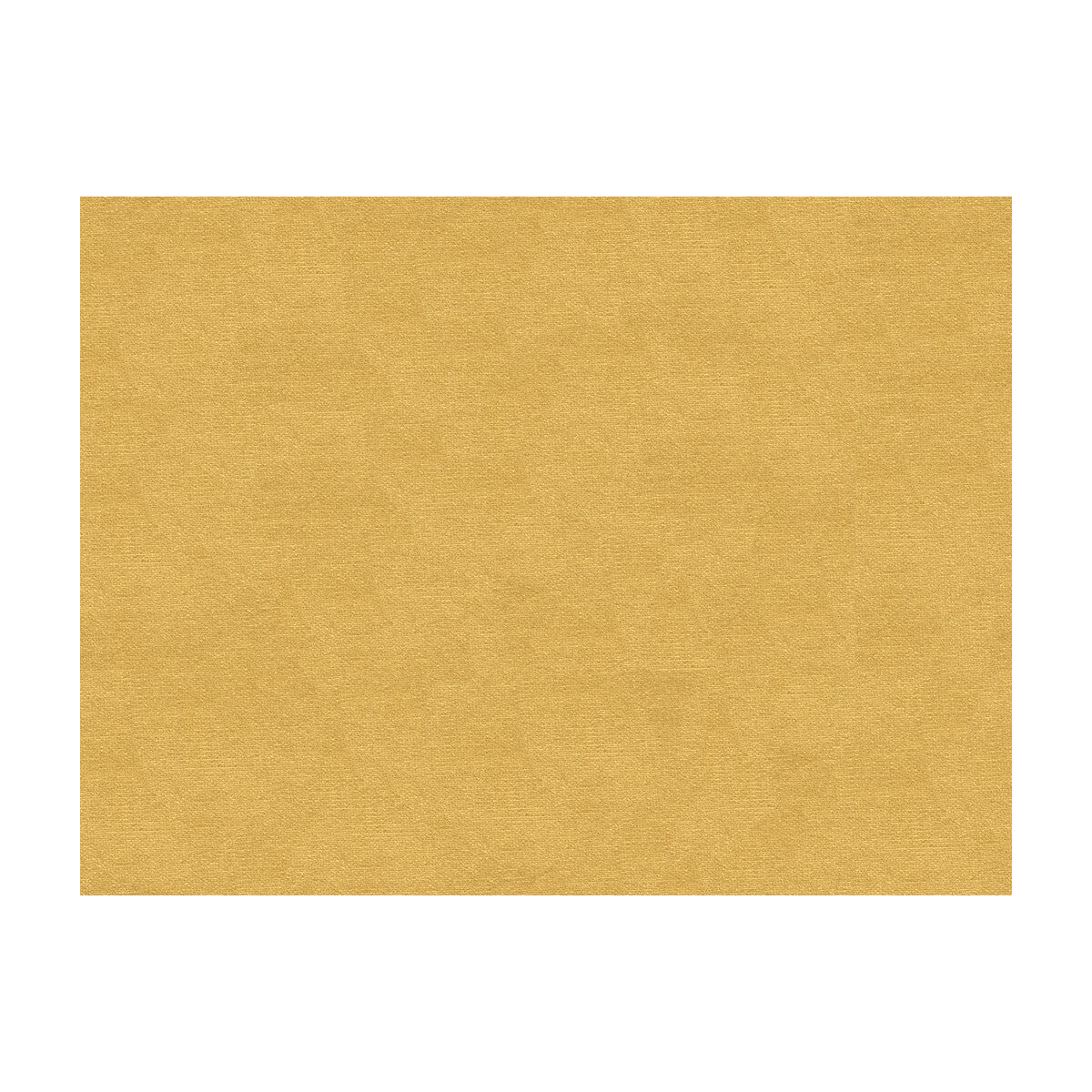 Lubeck Cotton Velvet fabric in straw color - pattern BR-89779.310.0 - by Brunschwig & Fils