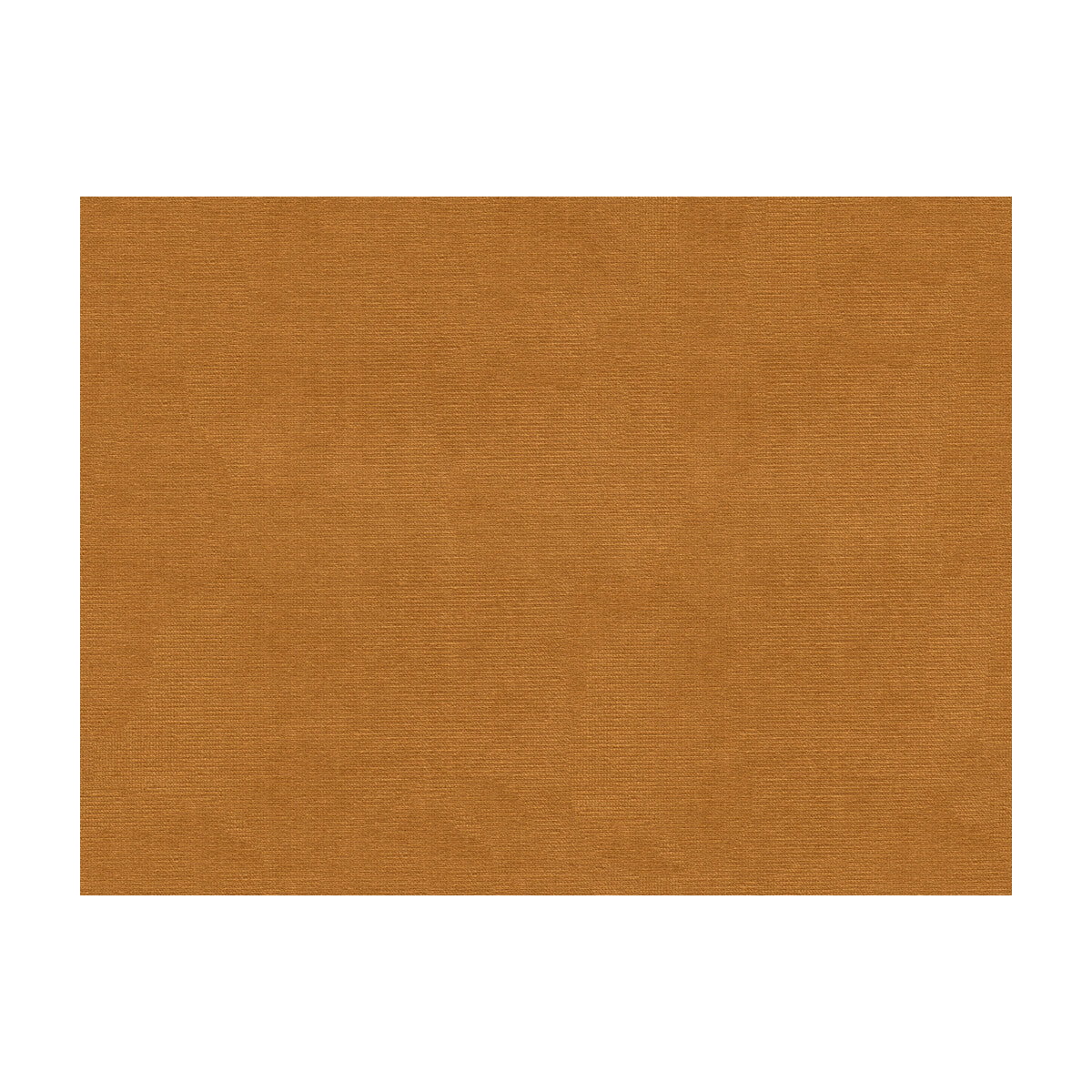 Lubeck Cotton Velvet fabric in honey color - pattern BR-89779.349.0 - by Brunschwig & Fils