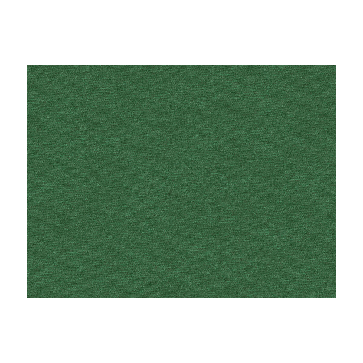 Lubeck Cotton Velvet fabric in ivy color - pattern BR-89779.440.0 - by Brunschwig & Fils