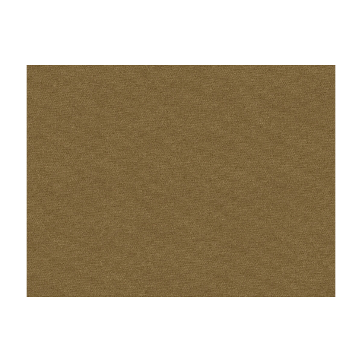 Lubeck Cotton Velvet fabric in fawn color - pattern BR-89779.812.0 - by Brunschwig & Fils