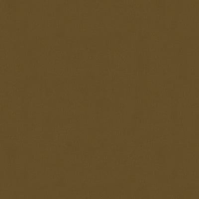 Lubeck Cotton Velvet fabric in hazlnut color - pattern BR-89779.835.0 - by Brunschwig & Fils