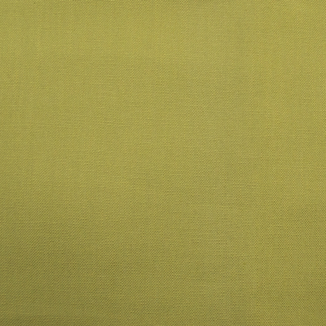 Barry fabric in artichoke color - pattern number 01124 - by Europatex in the Barry collection
