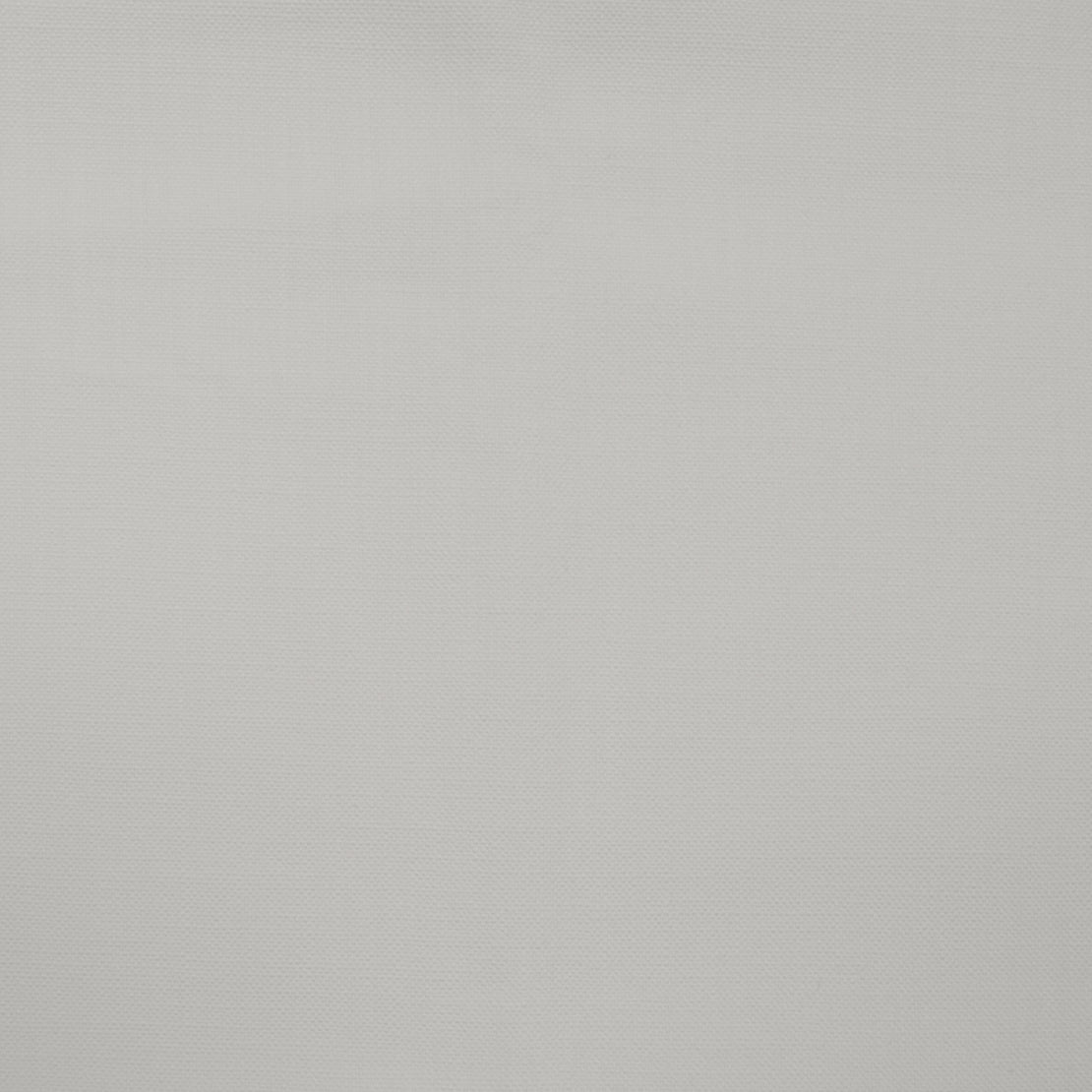 Barry fabric in white color - pattern number 01165 - by Europatex in the Barry collection