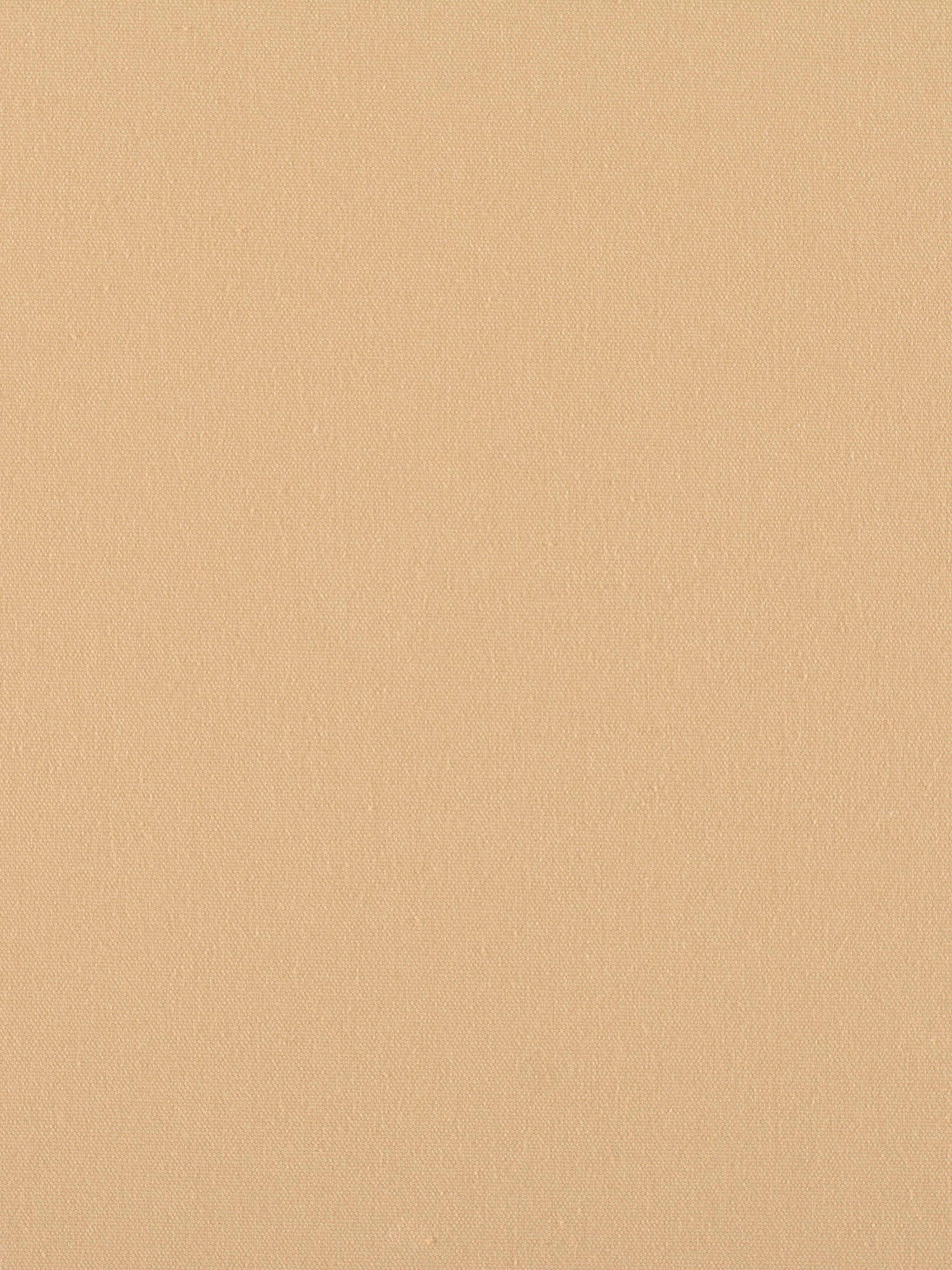 Canvas fabric in sand color - pattern number C5 0102PEBB - by Scalamandre in the Old World Weavers collection