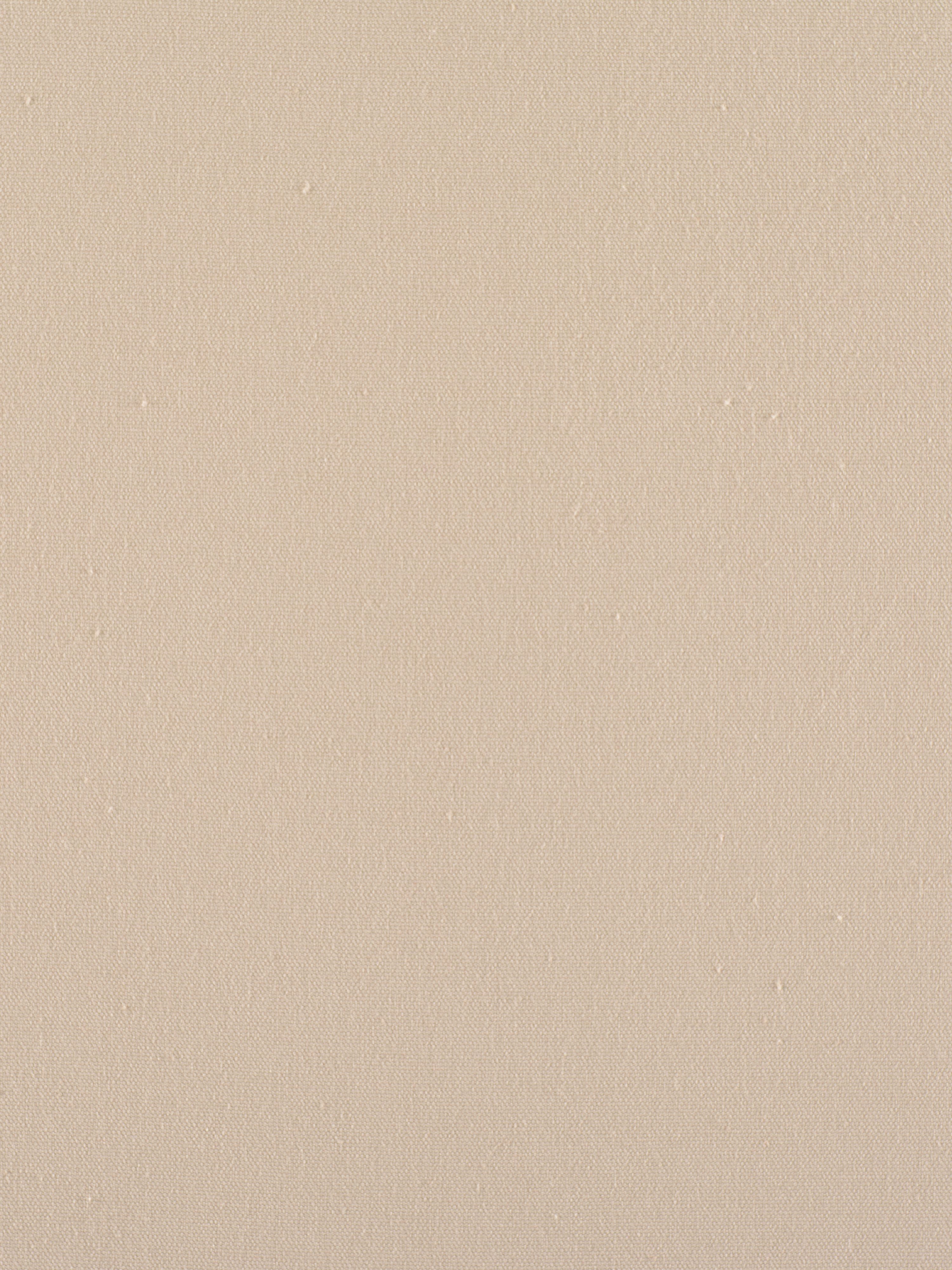 Canvas fabric in wheat color - pattern number C5 0108PEBB - by Scalamandre in the Old World Weavers collection