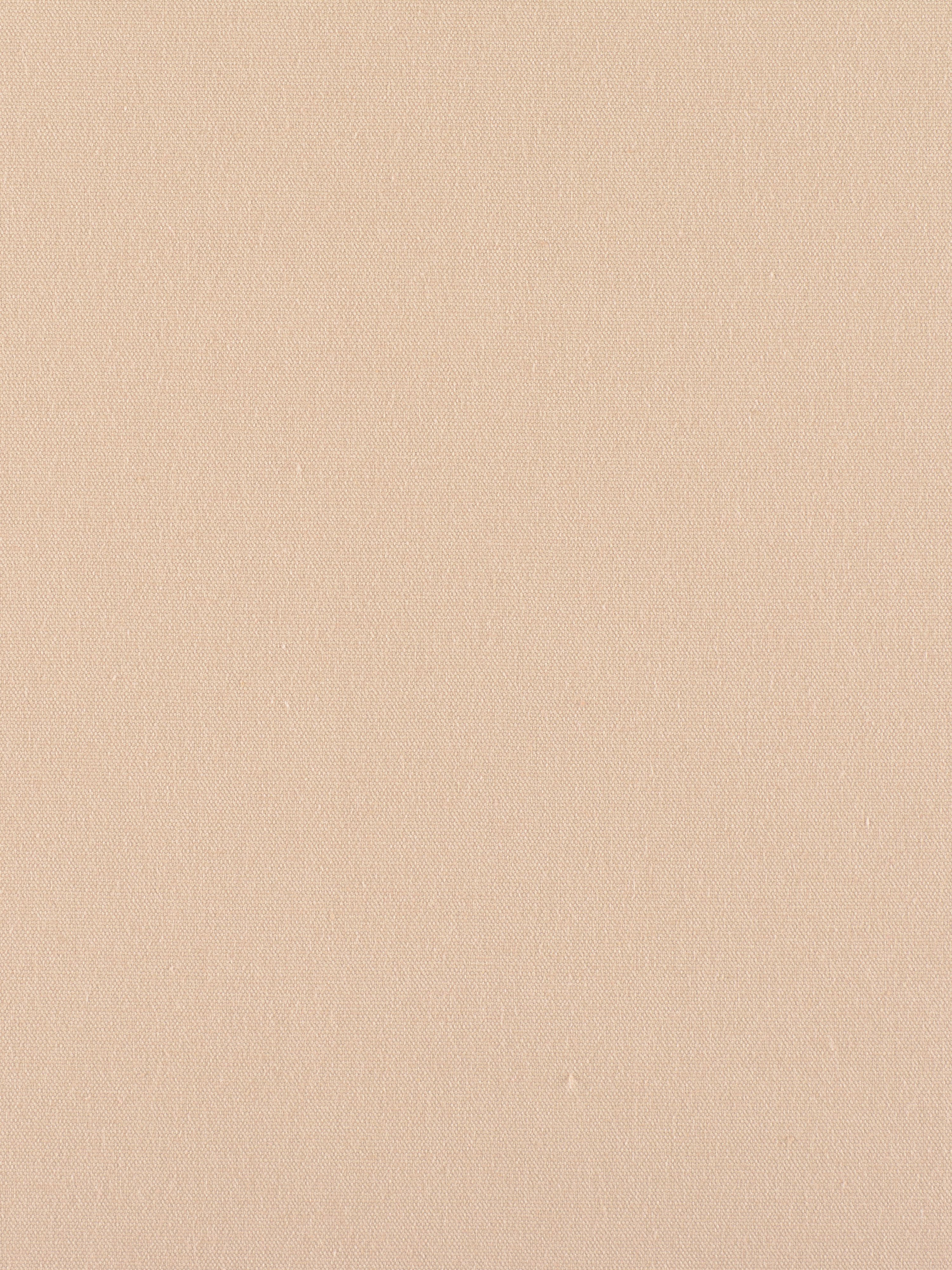Canvas fabric in latte color - pattern number C5 0199PEBB - by Scalamandre in the Old World Weavers collection