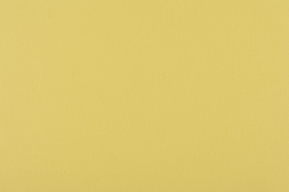 Canvas fabric in acid green color - pattern number C5 0244PEBB - by Scalamandre in the Old World Weavers collection