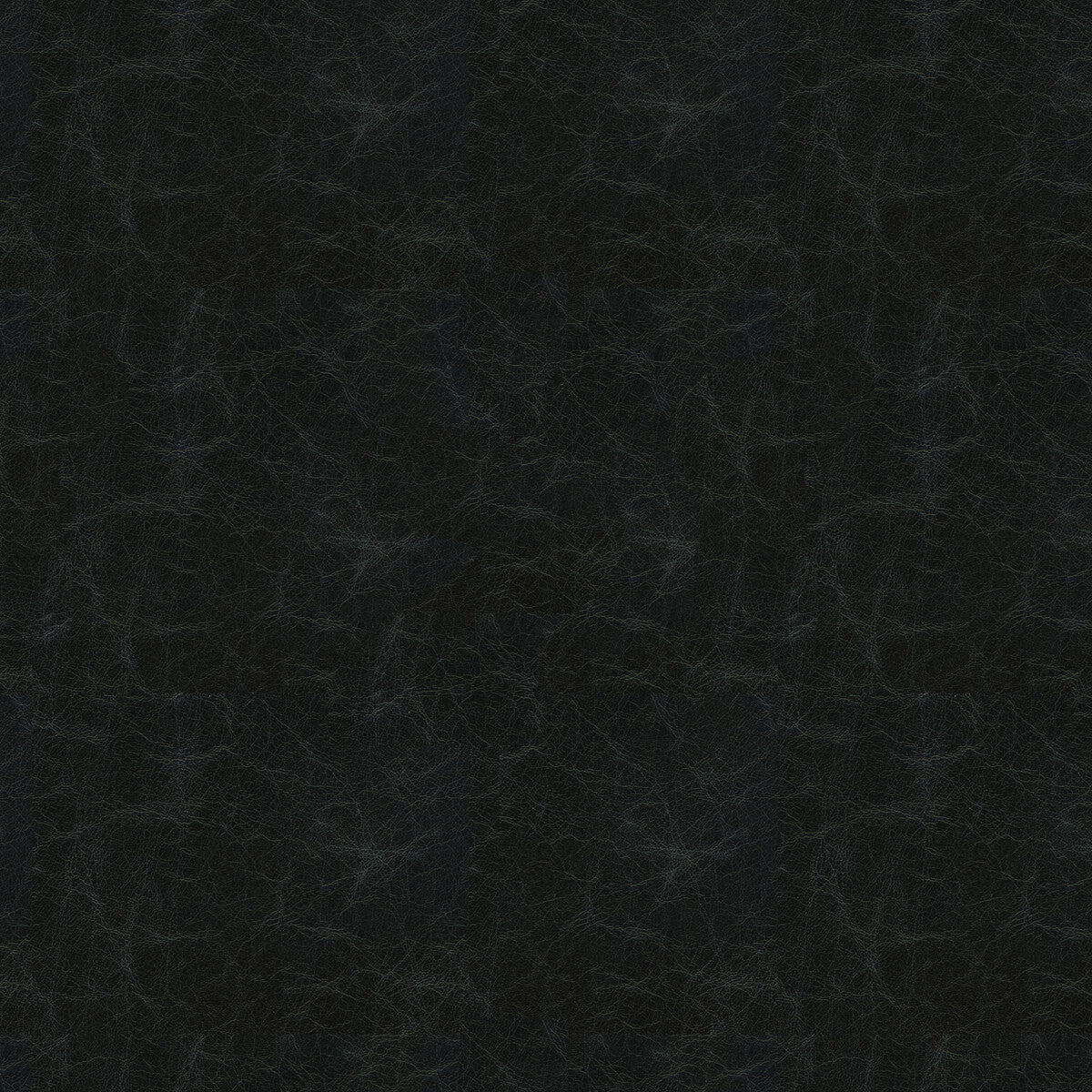 Captured fabric in steel color - pattern CAPTURED.50.0 - by Kravet Couture