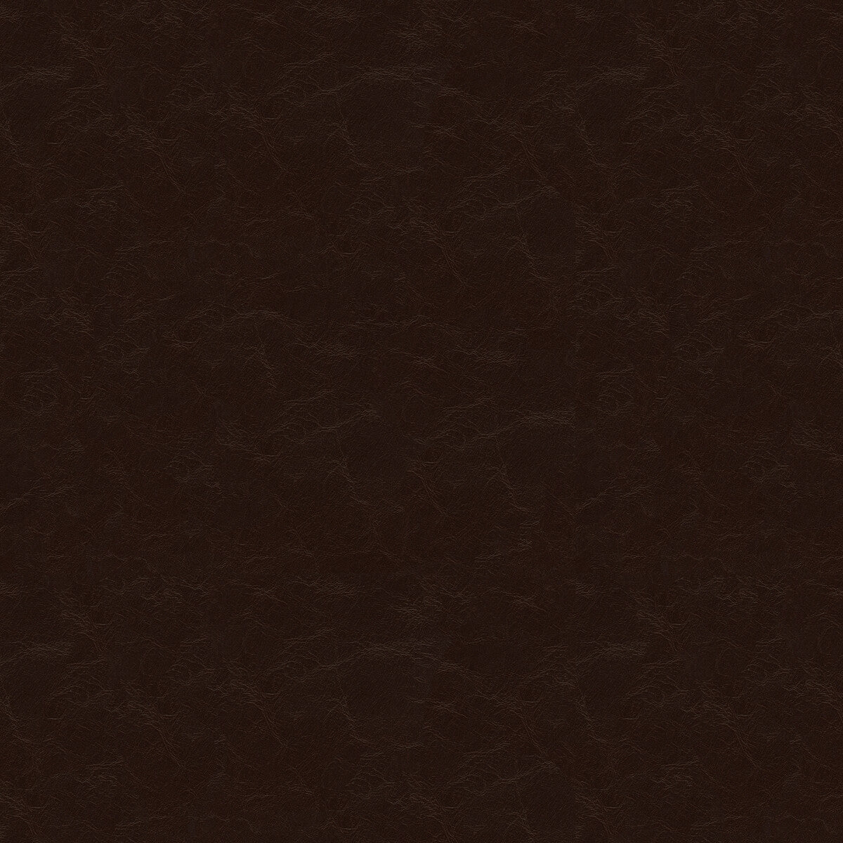 Captured fabric in ganache color - pattern CAPTURED.6.0 - by Kravet Couture