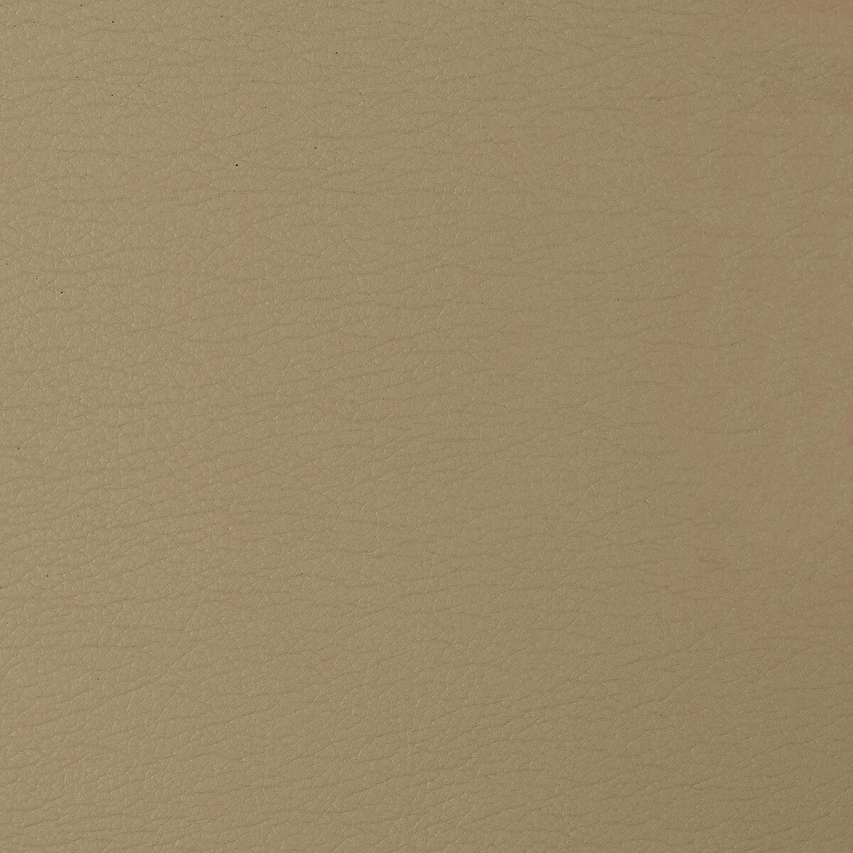 Kravet Design fabric in cara-116 color - pattern CARA.116.0 - by Kravet Design