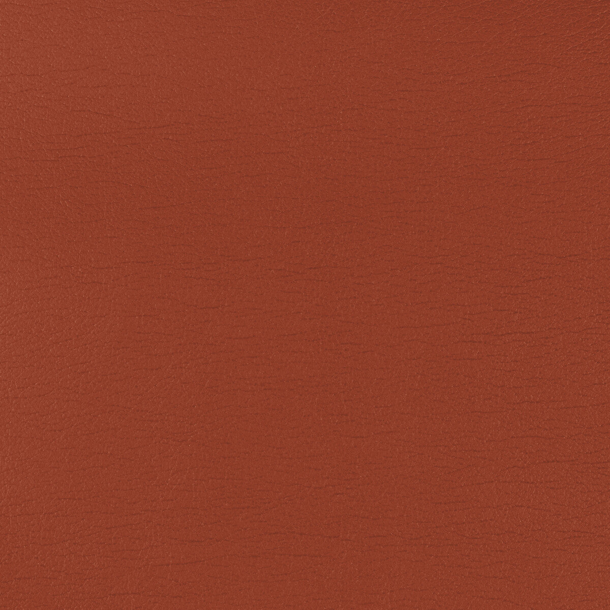 Kravet Design fabric in cara-12 color - pattern CARA.12.0 - by Kravet Design