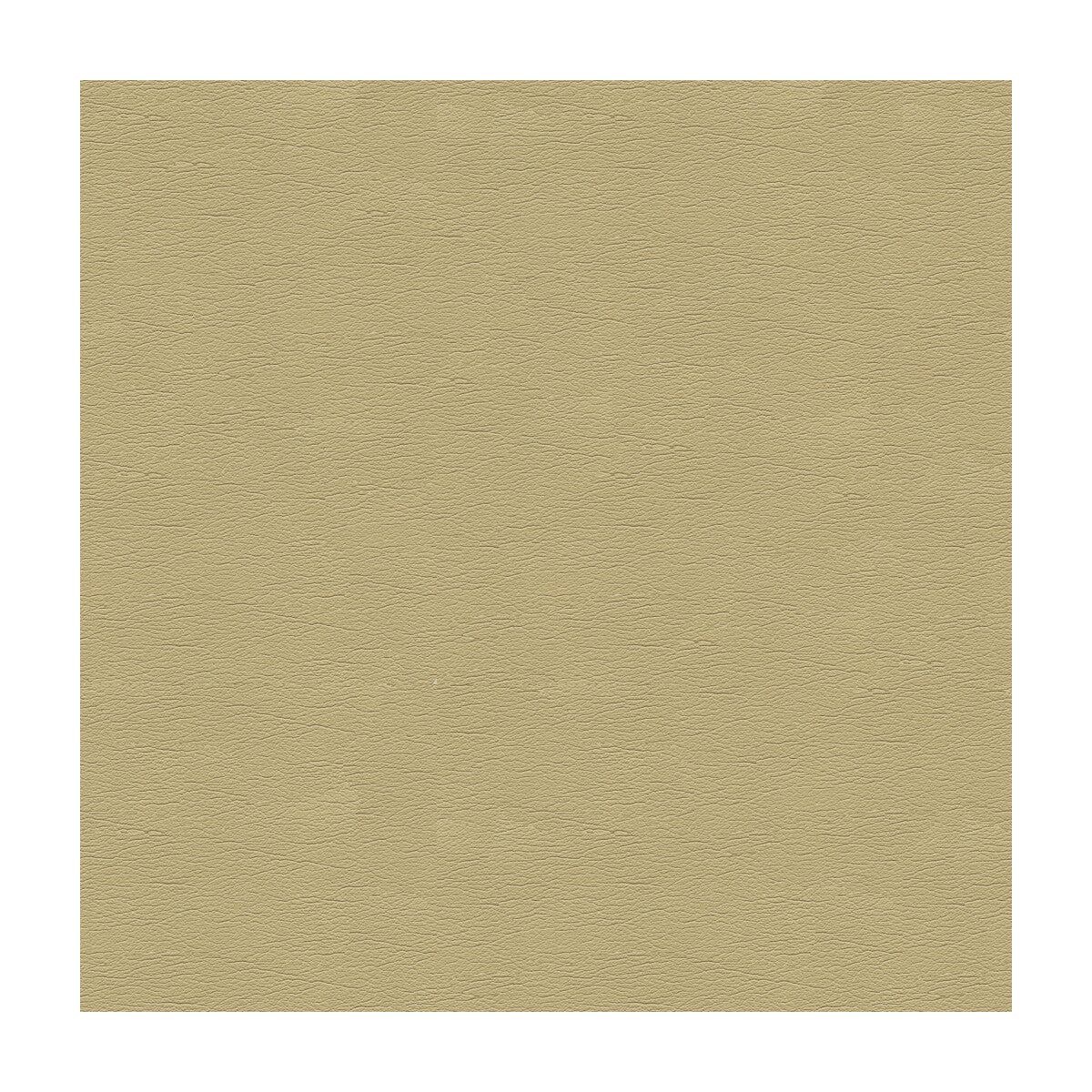 Kravet Design fabric in cara-16 color - pattern CARA.16.0 - by Kravet Design