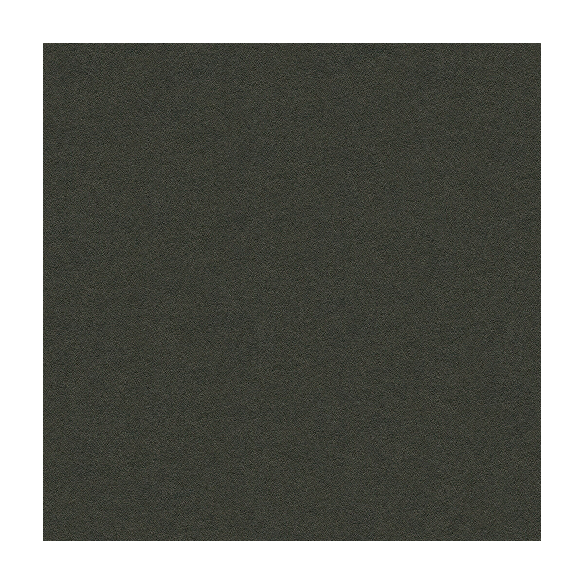 Kravet Design fabric in cara-21 color - pattern CARA.21.0 - by Kravet Design