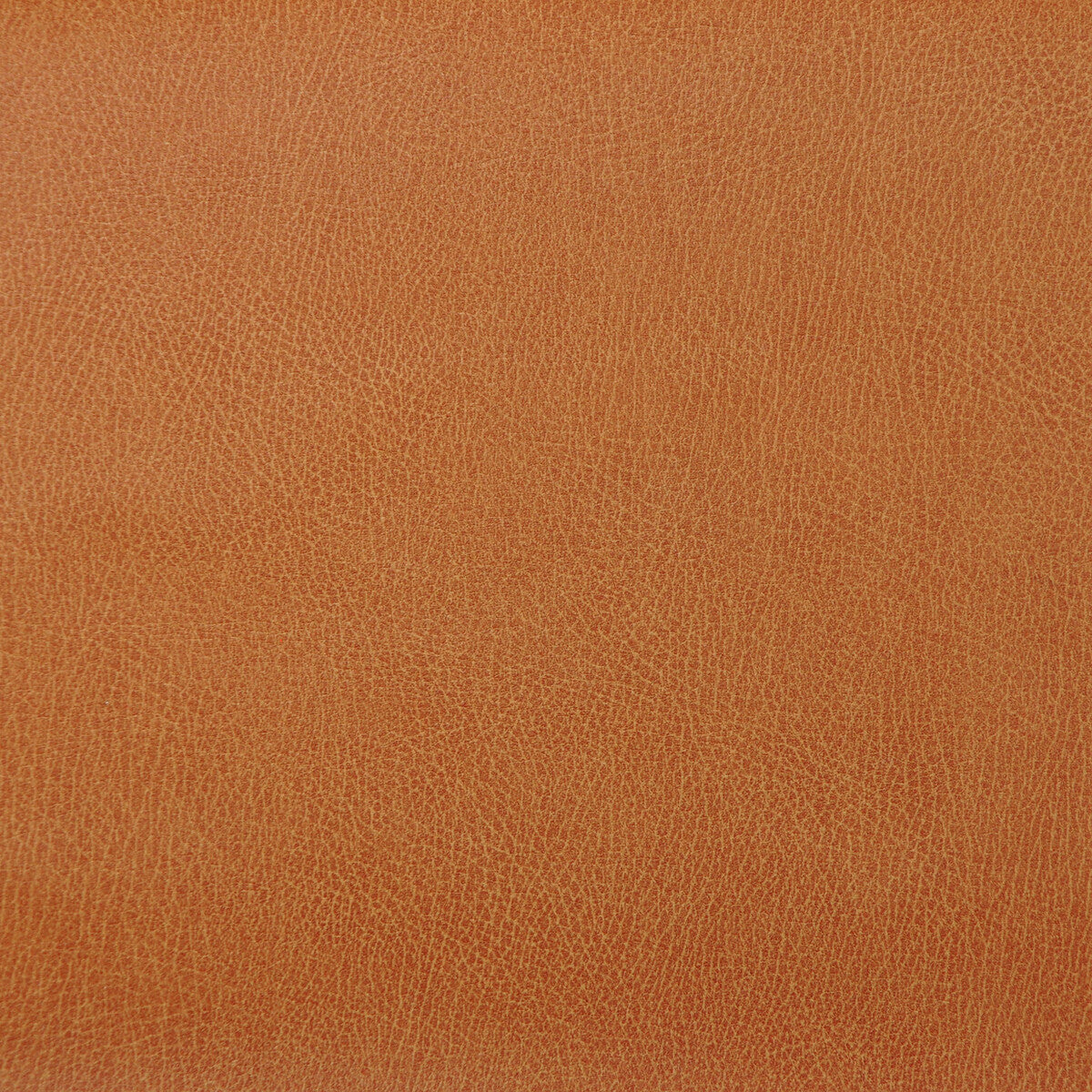 Kravet Design fabric in caswell-12 color - pattern CASWELL.12.0 - by Kravet Design