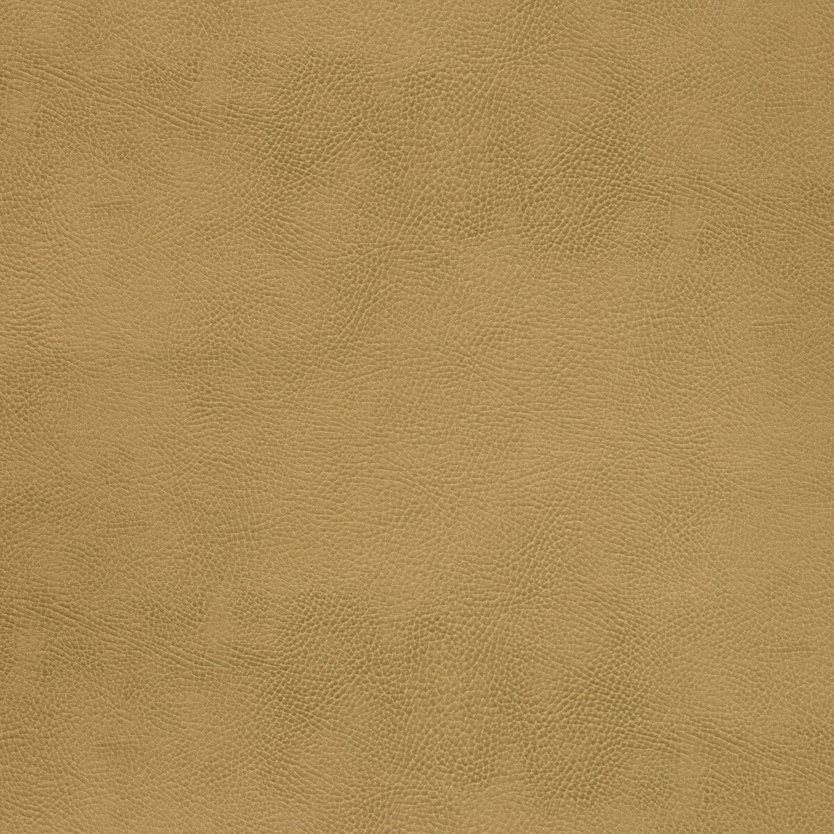 Kravet Design fabric in caswell-4 color - pattern CASWELL.4.0 - by Kravet Design