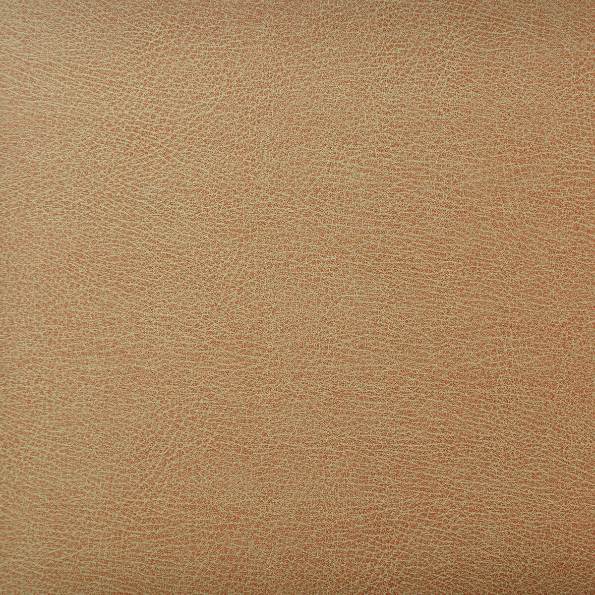 Kravet Design fabric in caswell-6 color - pattern CASWELL.6.0 - by Kravet Design