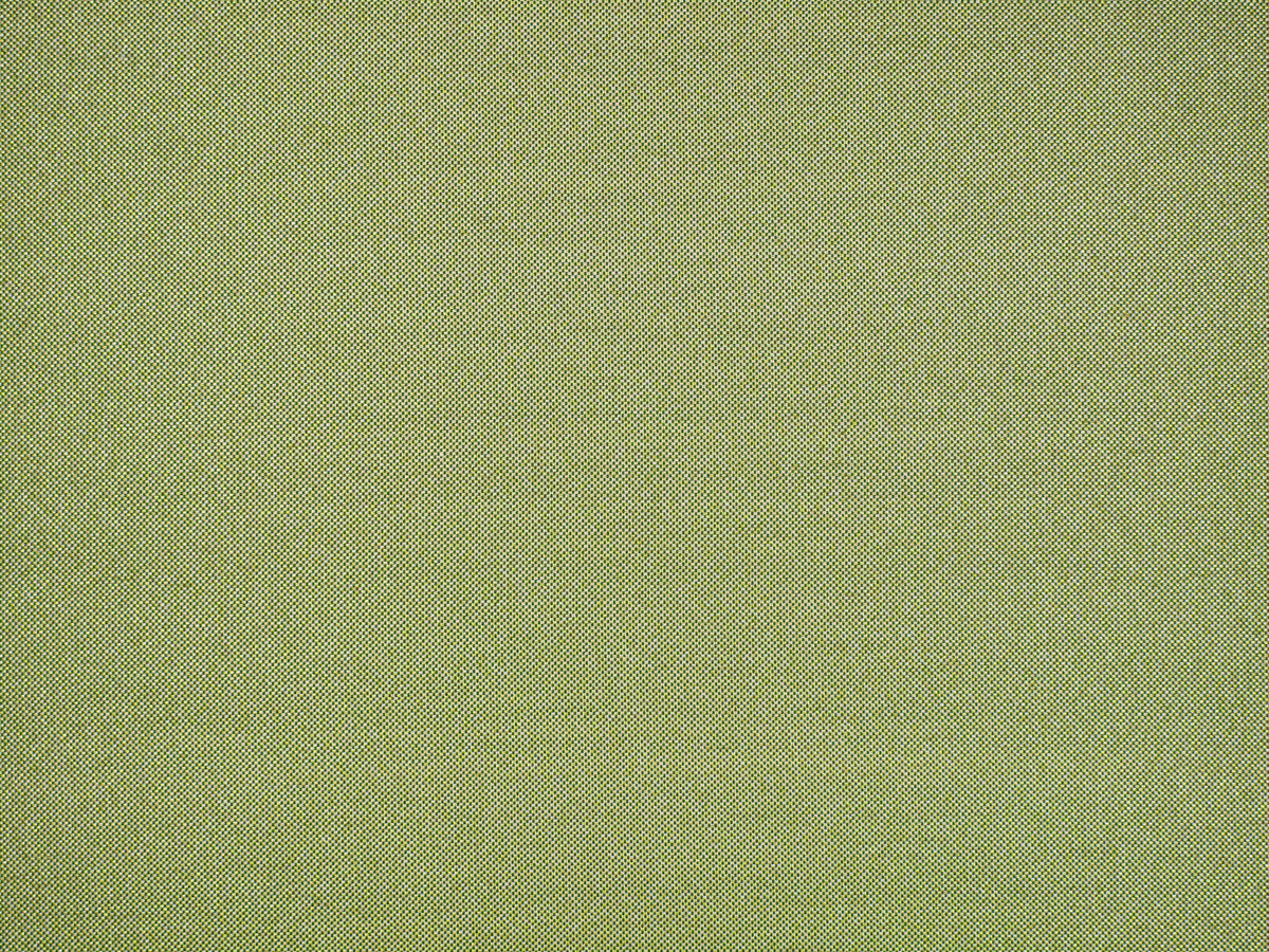Tabby fabric in spring green color - pattern number CC 1030230P - by Scalamandre in the Old World Weavers collection
