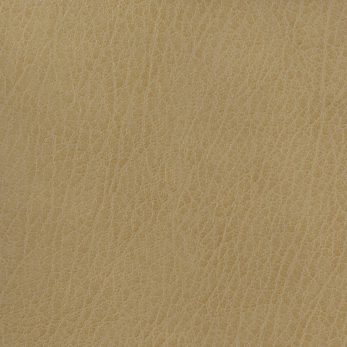 Kravet Basics fabric in celine-106 color - pattern CELINE.106.0 - by Kravet Basics