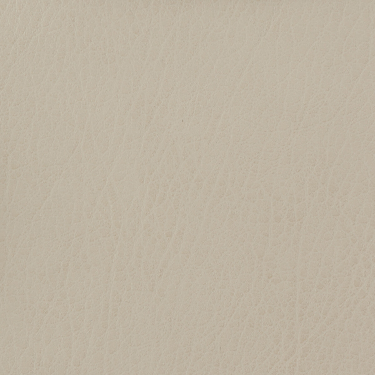 Kravet Basics fabric in celine-111 color - pattern CELINE.111.0 - by Kravet Basics