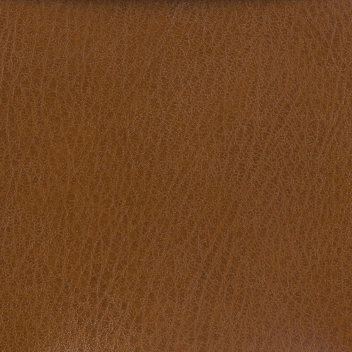 Kravet Basics fabric in celine-6 color - pattern CELINE.6.0 - by Kravet Basics