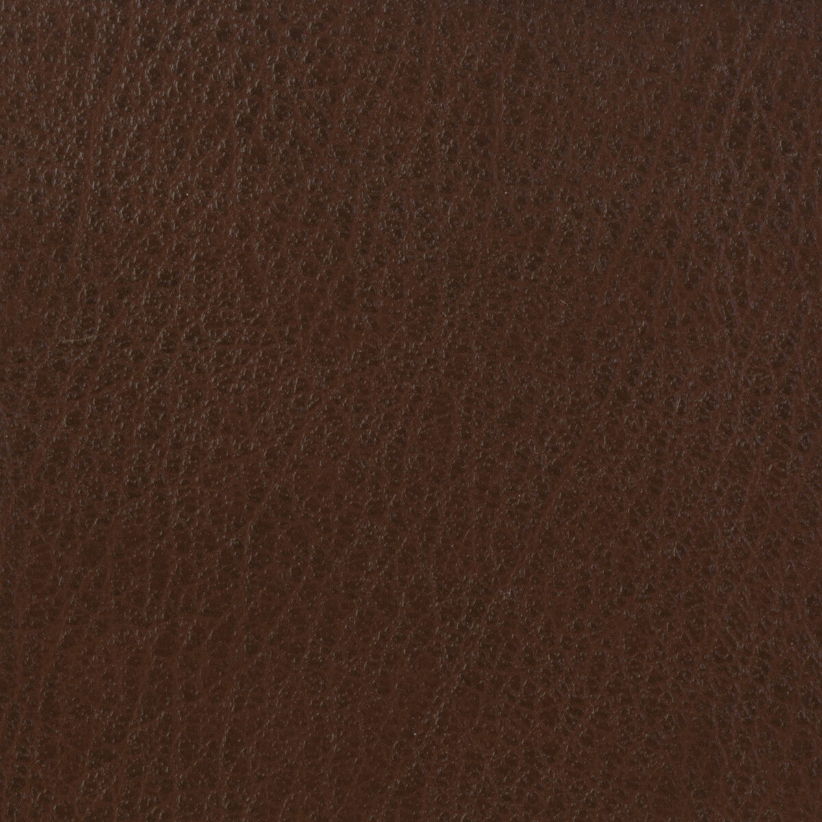 Kravet Basics fabric in celine-616 color - pattern CELINE.616.0 - by Kravet Basics