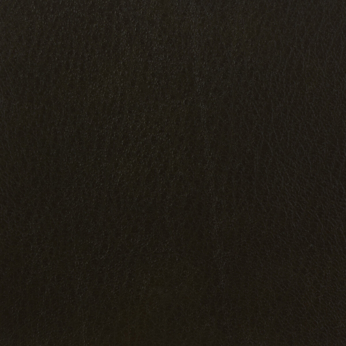 Kravet Basics fabric in celine-66 color - pattern CELINE.66.0 - by Kravet Basics