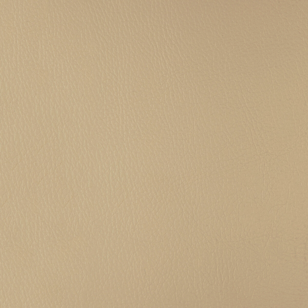 Chrome fabric in chrome-121 color - pattern number CHROME.121.0 - by Kravet Design in the Faux Leather IV collection