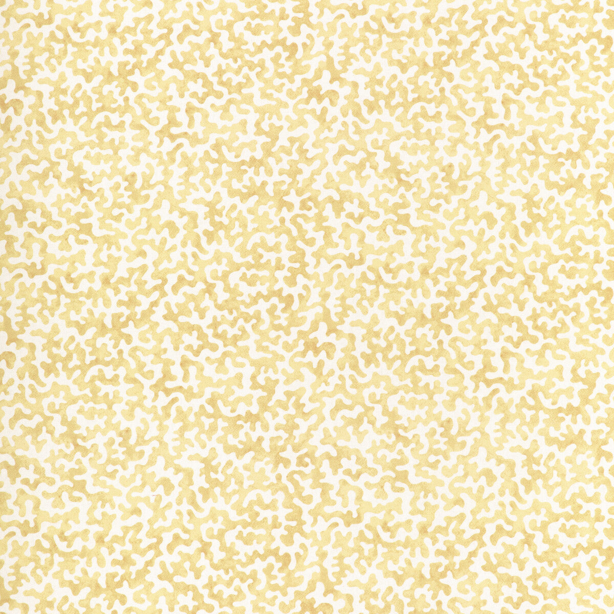 Coralcoast fabric in cornsilk color - pattern CORALCOAST.14.0 - by Kravet Basics in the Small Scale Prints collection