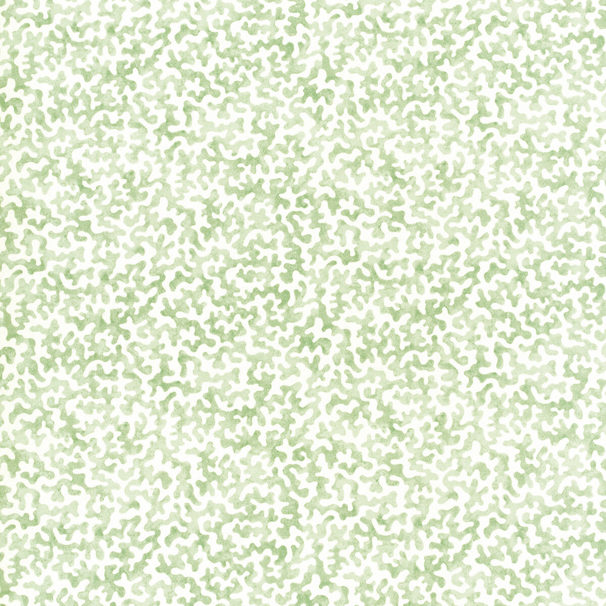 Coralcoast fabric in sage color - pattern CORALCOAST.30.0 - by Kravet Basics in the Small Scale Prints collection