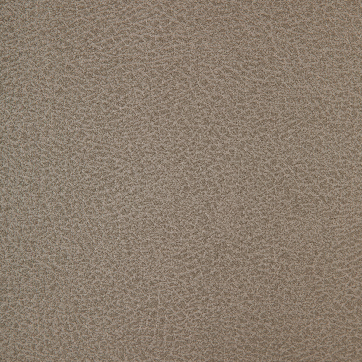Crisp fabric in crisp-11 color - pattern number CRISP.11.0 - by Kravet Design in the Faux Leather IV collection