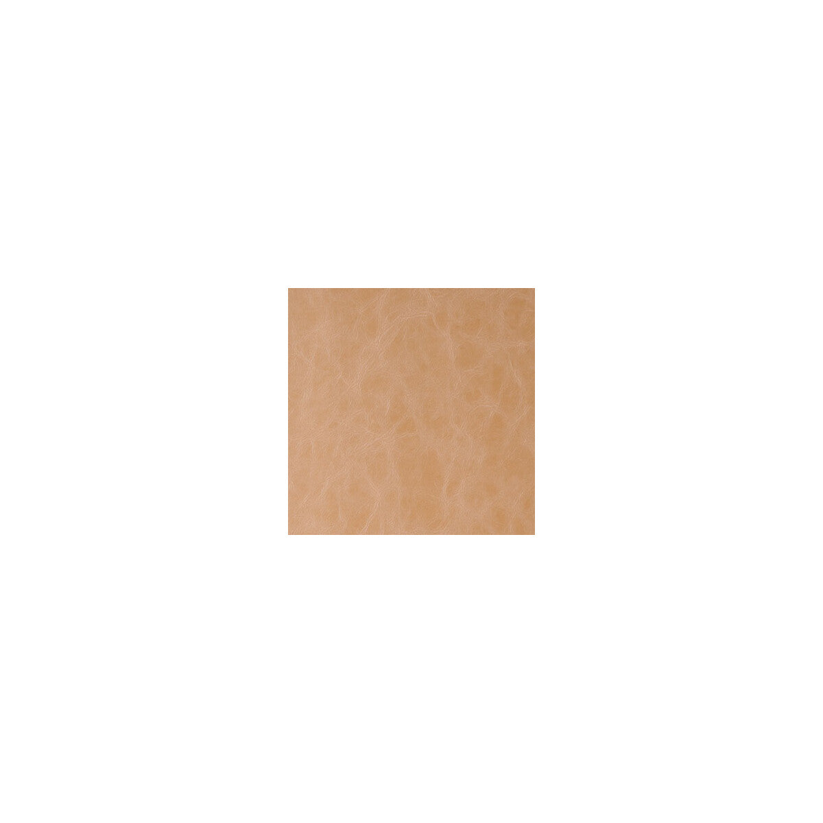 Daytripper fabric in buckskin color - pattern DAYTRIPPER.16.0 - by Kravet Contract in the Sta-Kleen collection