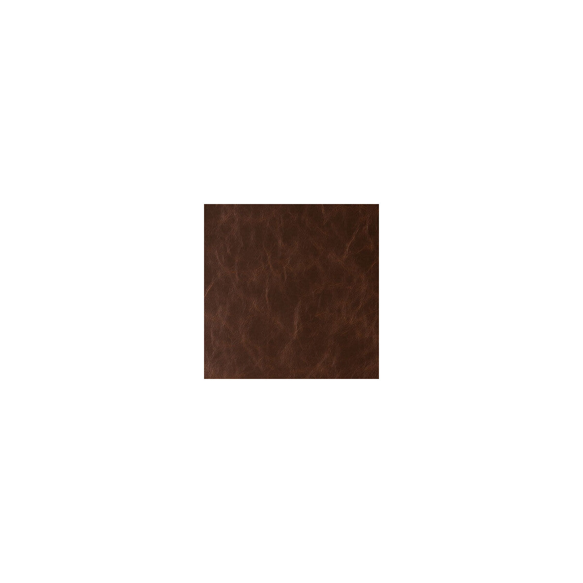 Daytripper fabric in hot chocolate color - pattern DAYTRIPPER.6.0 - by Kravet Contract in the Sta-Kleen collection