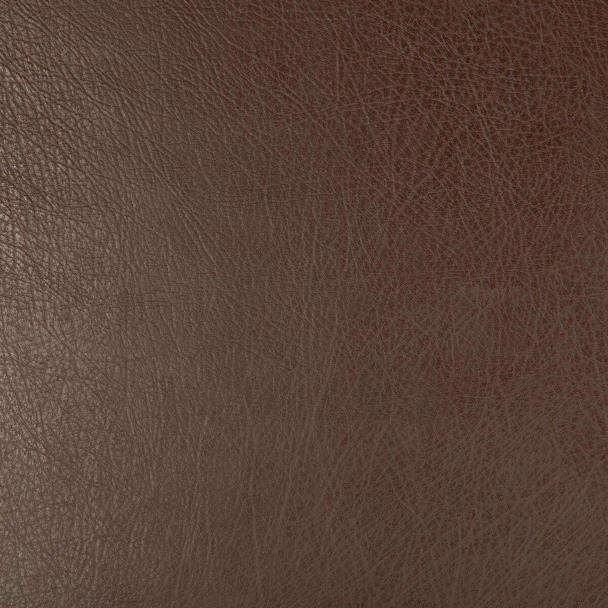 Kravet Design fabric in deimos-6 color - pattern DEIMOS.6.0 - by Kravet Design