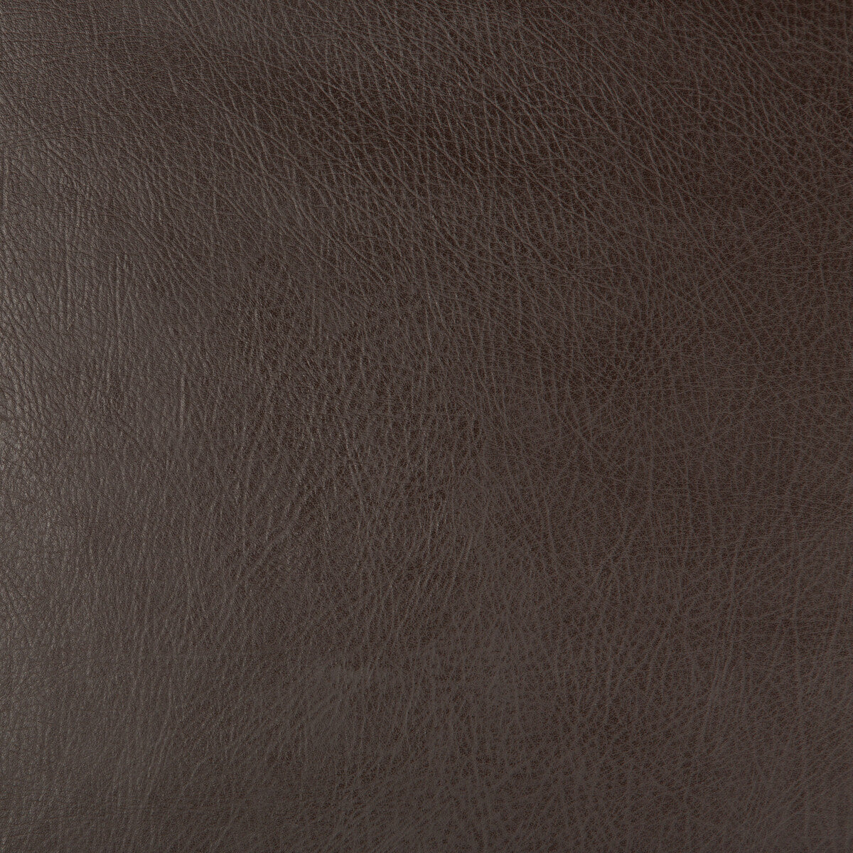 Kravet Design fabric in deimos-66 color - pattern DEIMOS.66.0 - by Kravet Design