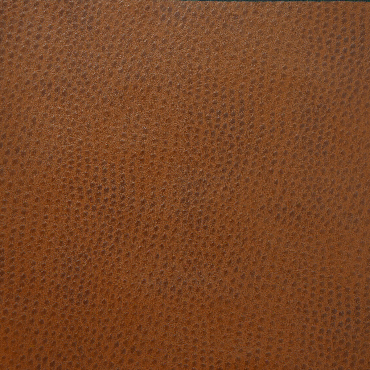 Kravet Design fabric in delaney-6 color - pattern DELANEY.6.0 - by Kravet Design