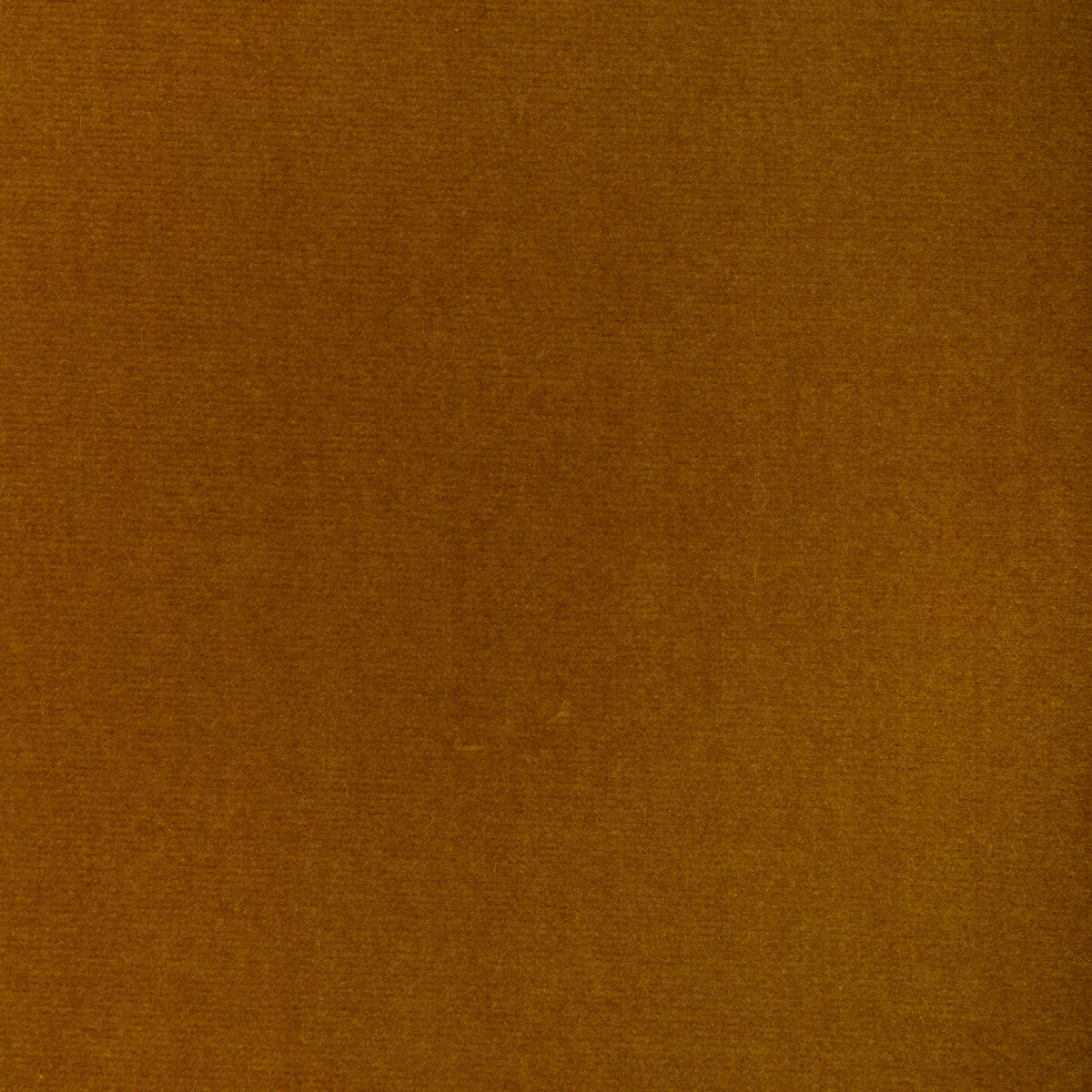 Covet fabric in ochre color - pattern number DG-10158.212.0 - by Donghia in the Ombre I collection
