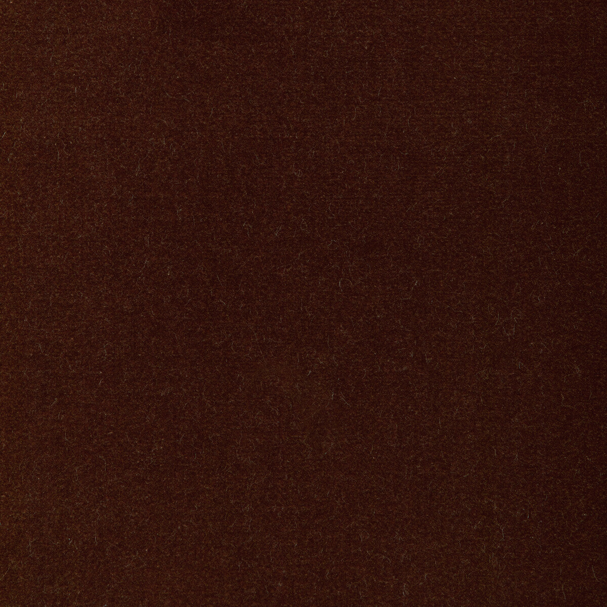 Covet fabric in cinnamon color - pattern number DG-10158.606.0 - by Donghia in the Ombre I collection