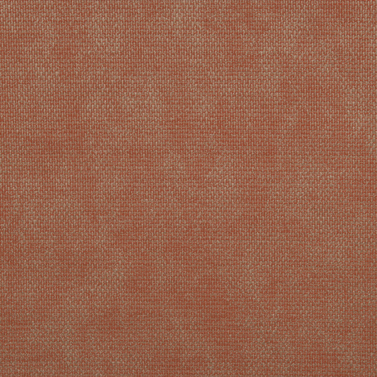 Falcon fabric in rust color - pattern number DG-10296.001.0 - by Donghia in the Desert Bloom collection