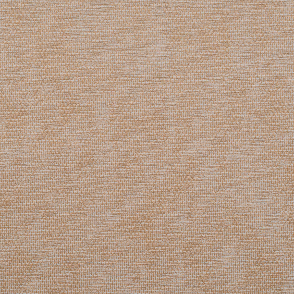Falcon fabric in sand color - pattern number DG-10296.005.0 - by Donghia in the Desert Bloom collection