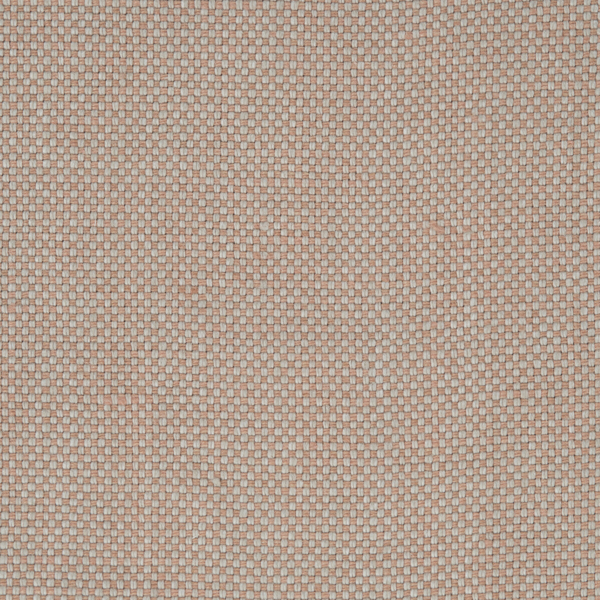 Arid fabric in blush color - pattern number DG-10307.006.0 - by Donghia in the Desert Bloom collection