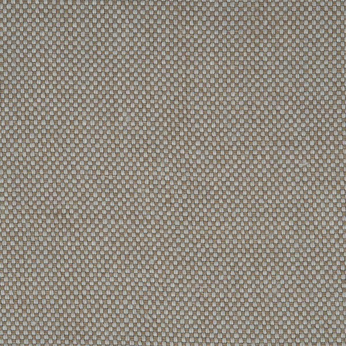 Arid fabric in tan color - pattern number DG-10307.018.0 - by Donghia in the Desert Bloom collection
