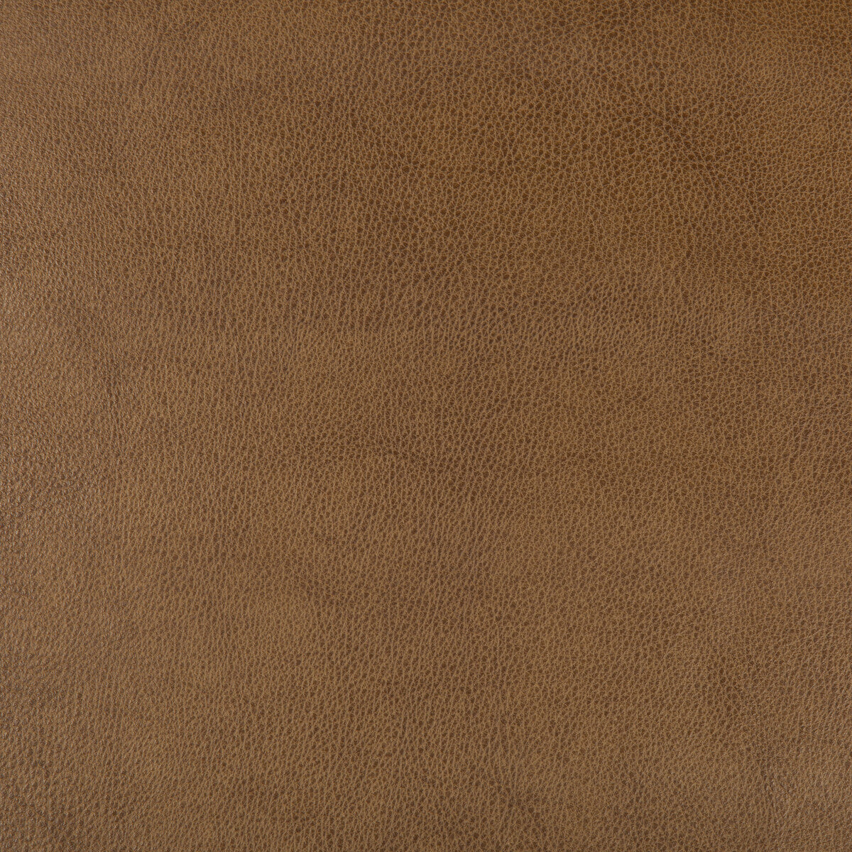 Kravet Design fabric in dust-616 color - pattern DUST.616.0 - by Kravet Design