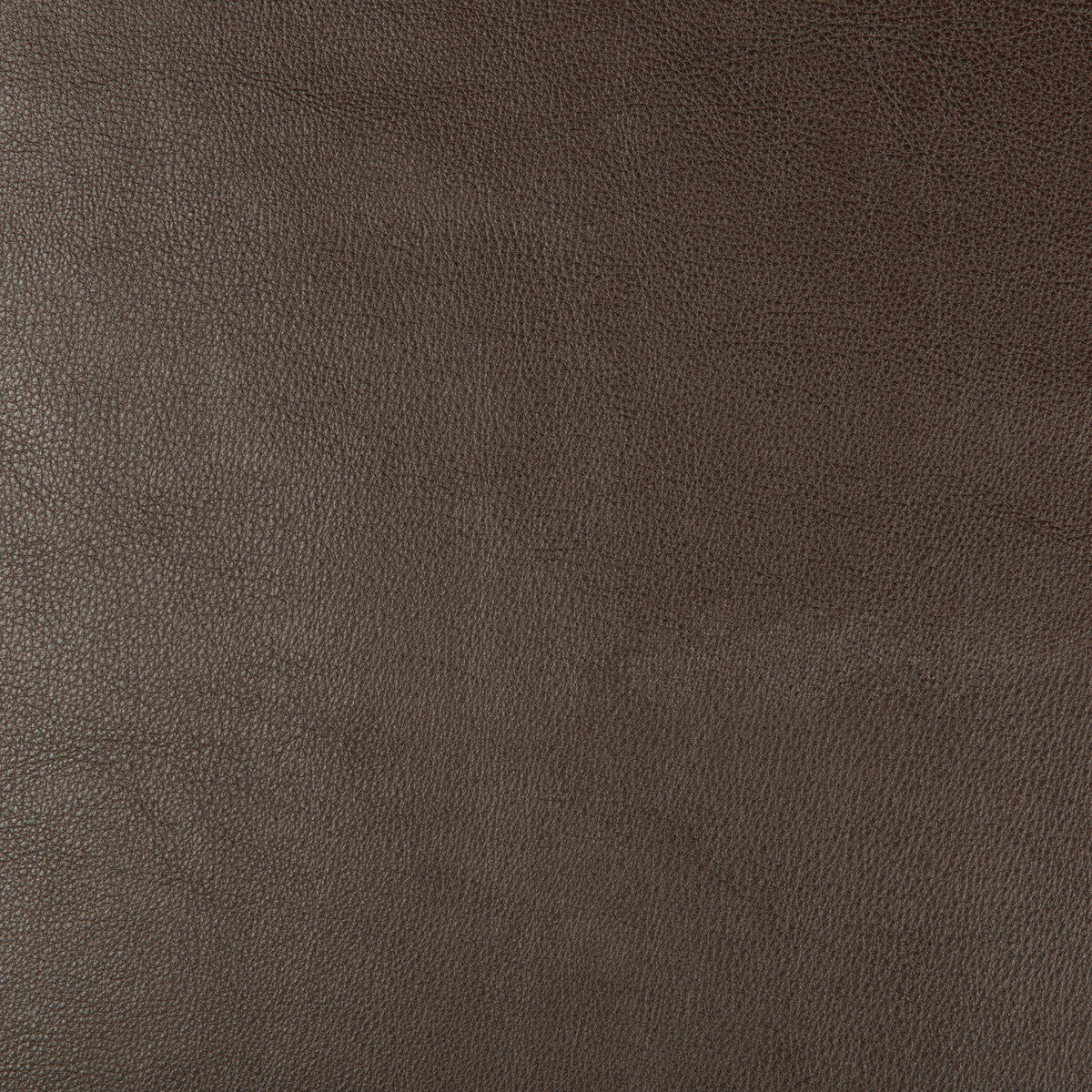 Kravet Design fabric in dust-66 color - pattern DUST.66.0 - by Kravet Design