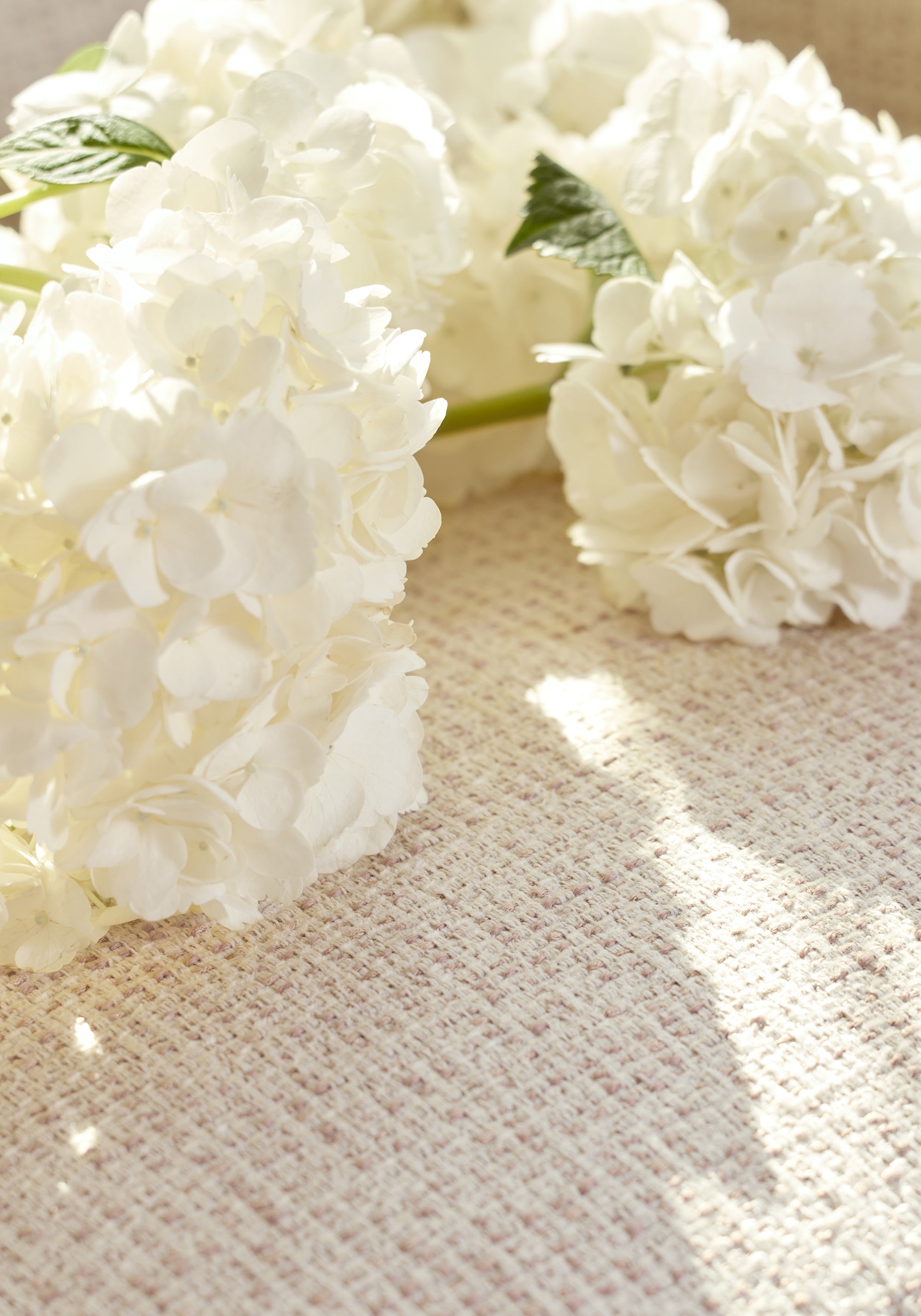 Flowers laying on Arno stain resistant fabric in cameo color - pattern number W80944 - by Thibaut in the Dunmore collection
