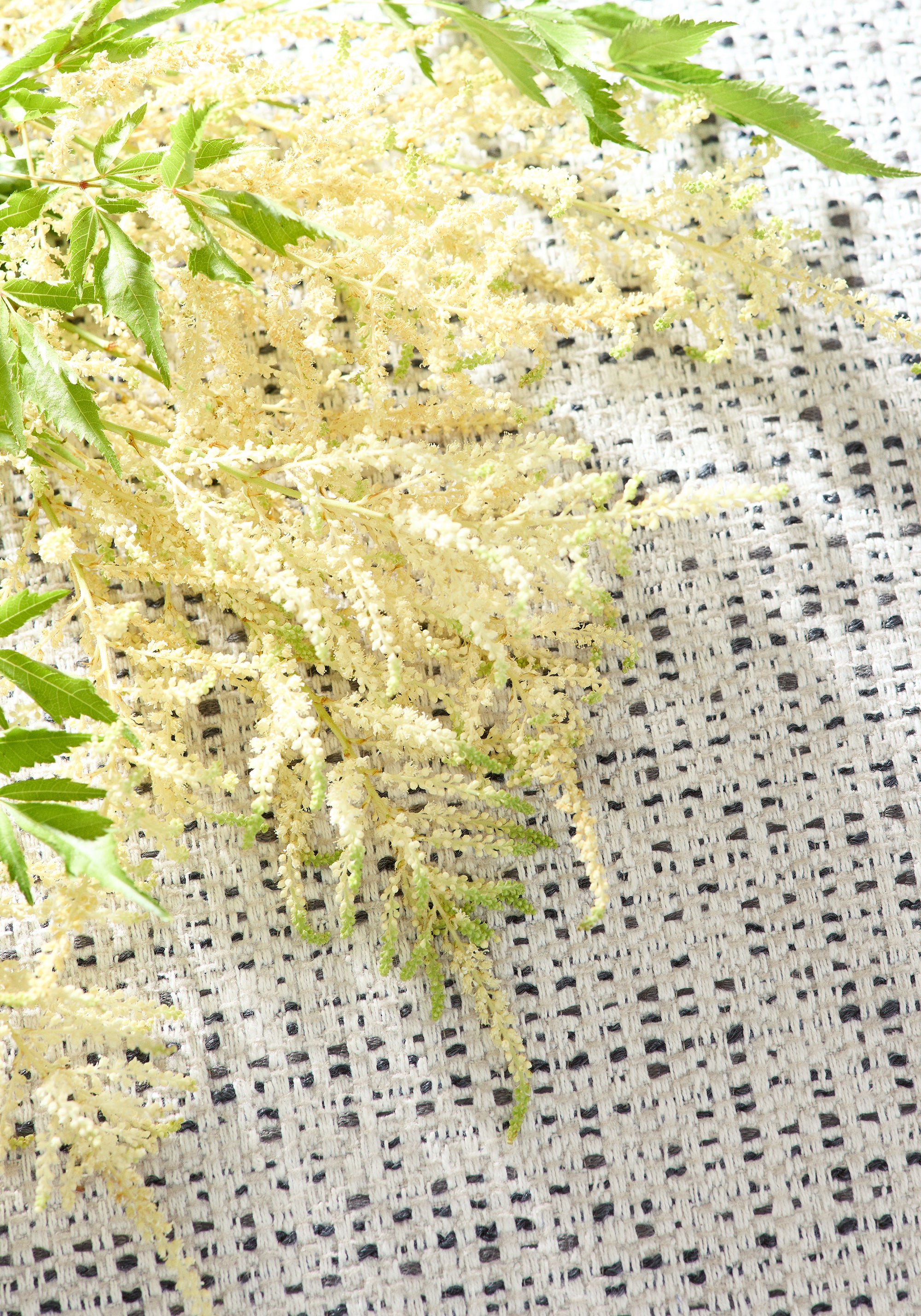 Flower laying on Arno stain resistant fabric in ebony color - pattern number W80950 - by Thibaut in the Dunmore collection