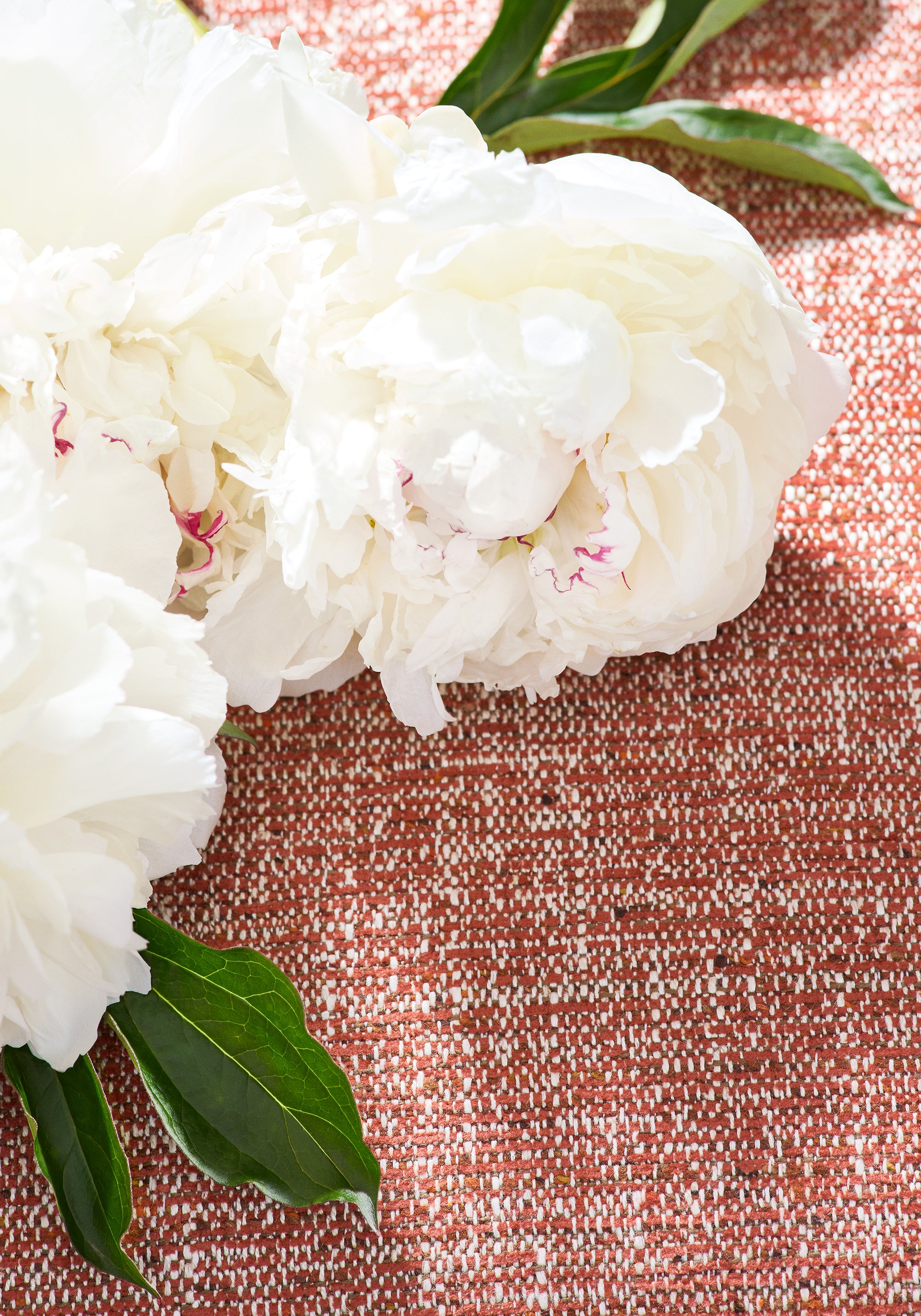 Flower laying on Elgin stain resistant fabric in canyon color - pattern number W80942 - by Thibaut fabrics