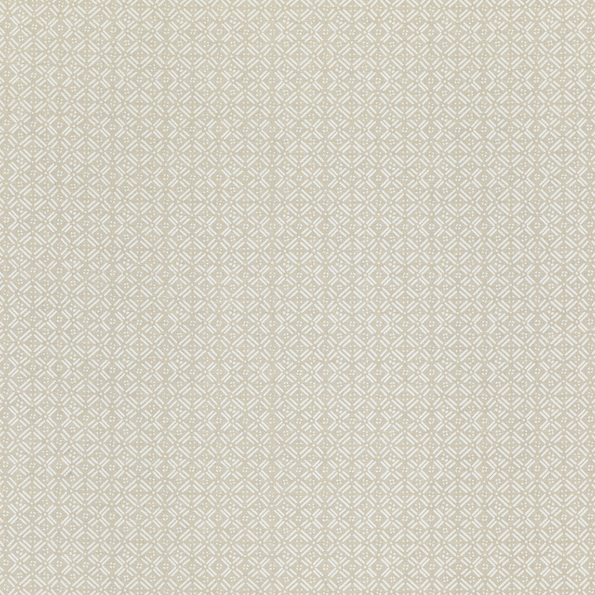 Aslin fabric in ivory color - pattern ED75036.1.0 - by Threads in the Moro collection