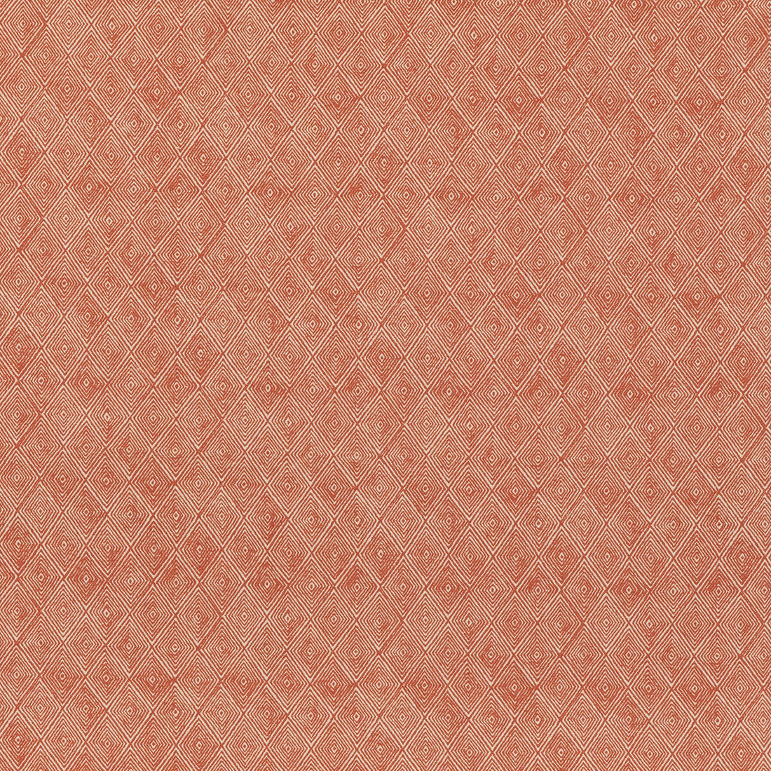 Boundary fabric in spice color - pattern ED75042.2.0 - by Threads in the Nala Prints collection