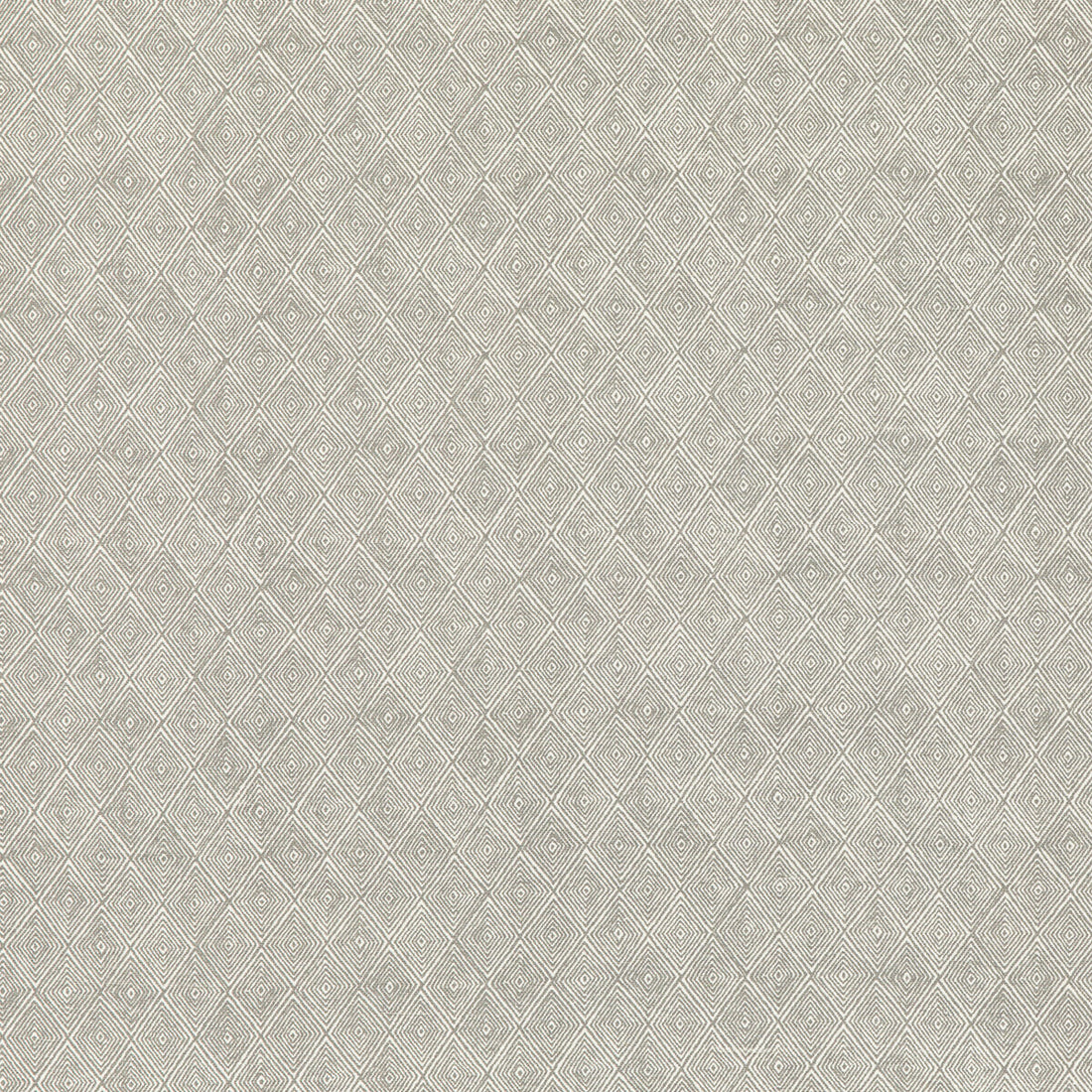 Boundary fabric in dove color - pattern ED75042.3.0 - by Threads in the Nala Prints collection